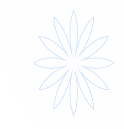 ky体育官网登录-开云体育赞助